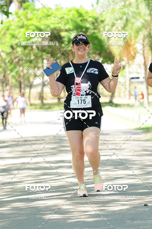 Compre as suas fotos do eventoPIT BULL RUNNING no Fotop