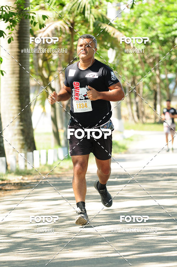 Compra tus fotos del eventoPIT BULL RUNNING En Fotop