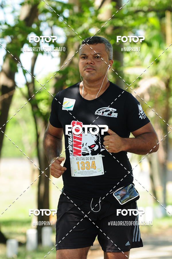 Compra tus fotos del eventoPIT BULL RUNNING En Fotop