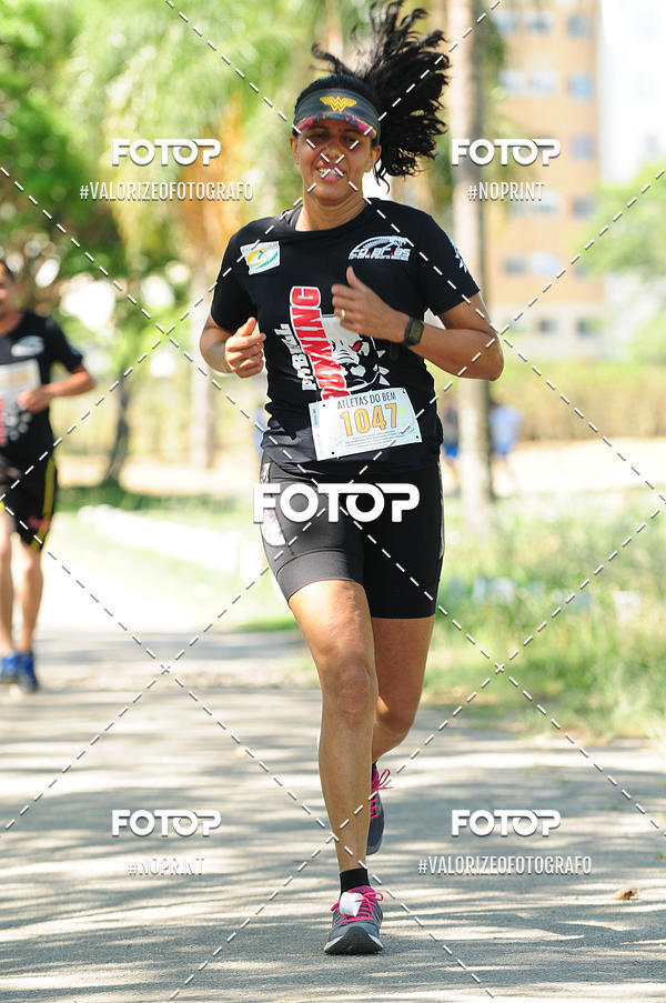 Compra tus fotos del eventoPIT BULL RUNNING En Fotop