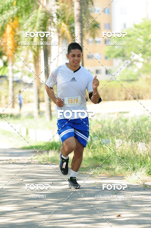 Compra tus fotos del eventoPIT BULL RUNNING En Fotop