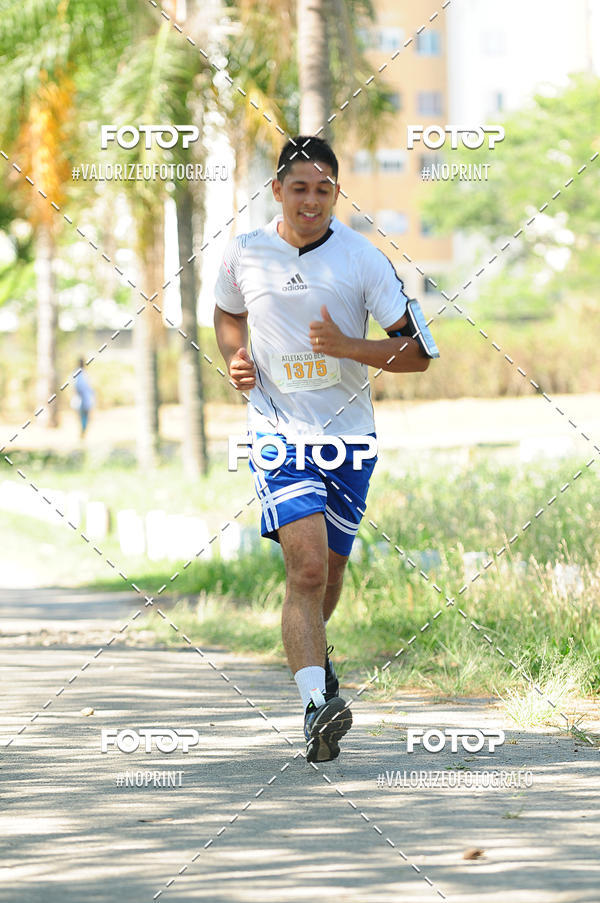 Compra tus fotos del eventoPIT BULL RUNNING En Fotop