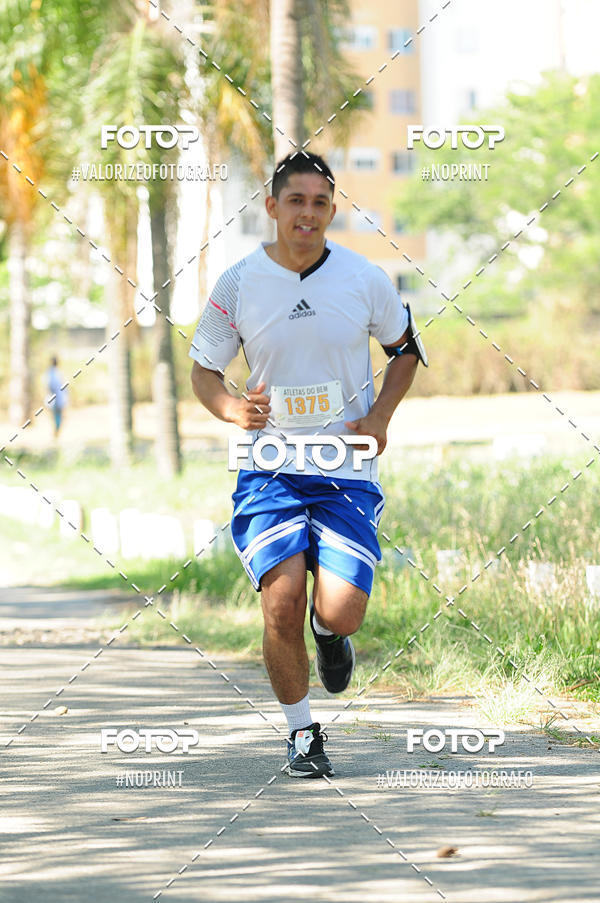 Compra tus fotos del eventoPIT BULL RUNNING En Fotop