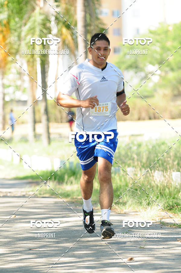 Compra tus fotos del eventoPIT BULL RUNNING En Fotop