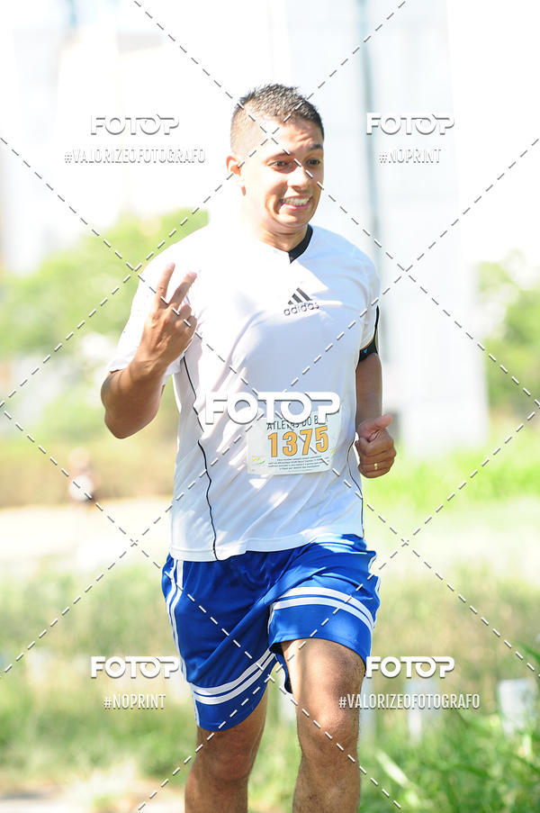 Compra tus fotos del eventoPIT BULL RUNNING En Fotop