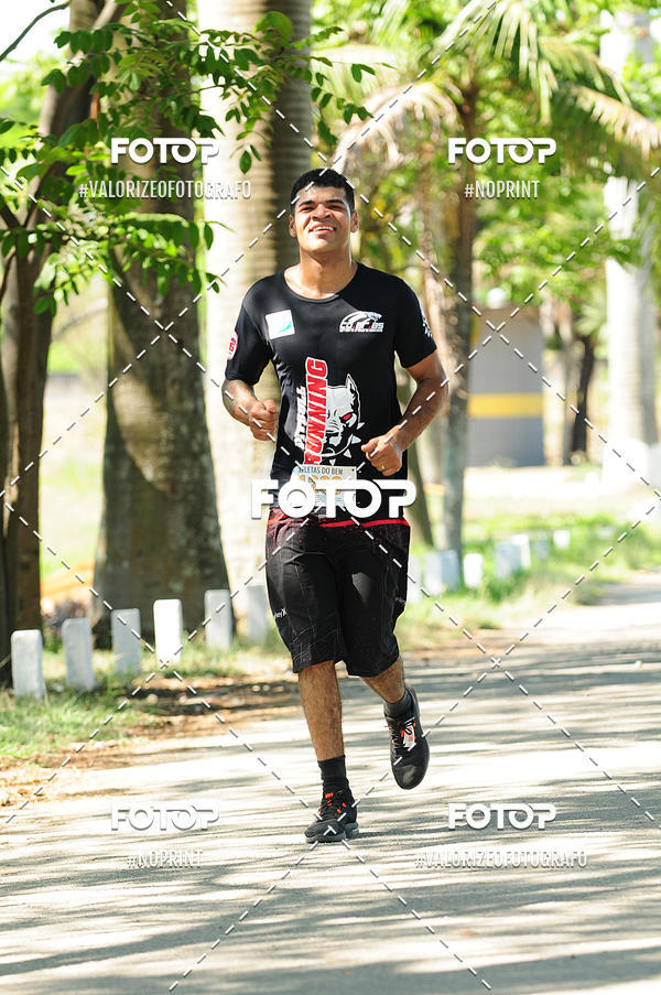 Compra tus fotos del eventoPIT BULL RUNNING En Fotop