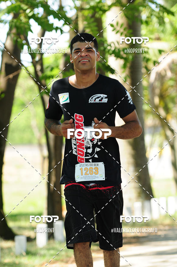 Compra tus fotos del eventoPIT BULL RUNNING En Fotop