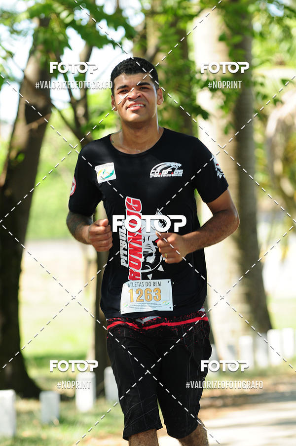 Compra tus fotos del eventoPIT BULL RUNNING En Fotop