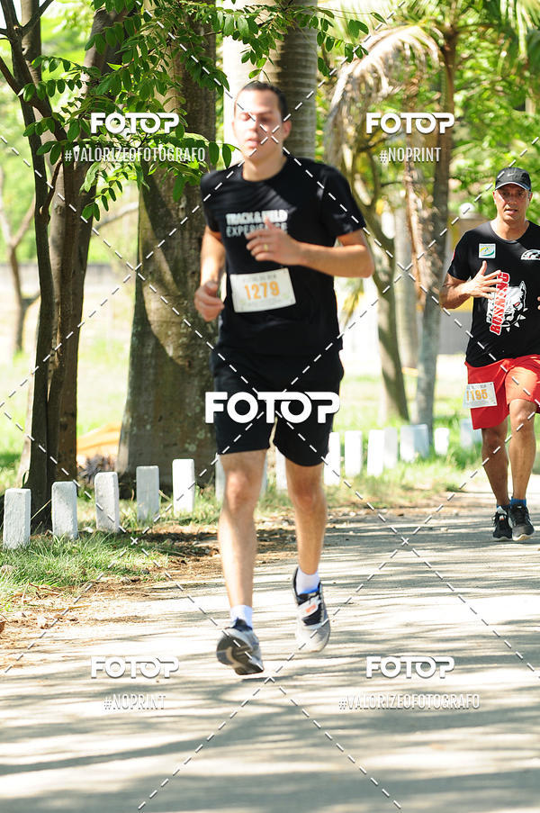 Compra tus fotos del eventoPIT BULL RUNNING En Fotop