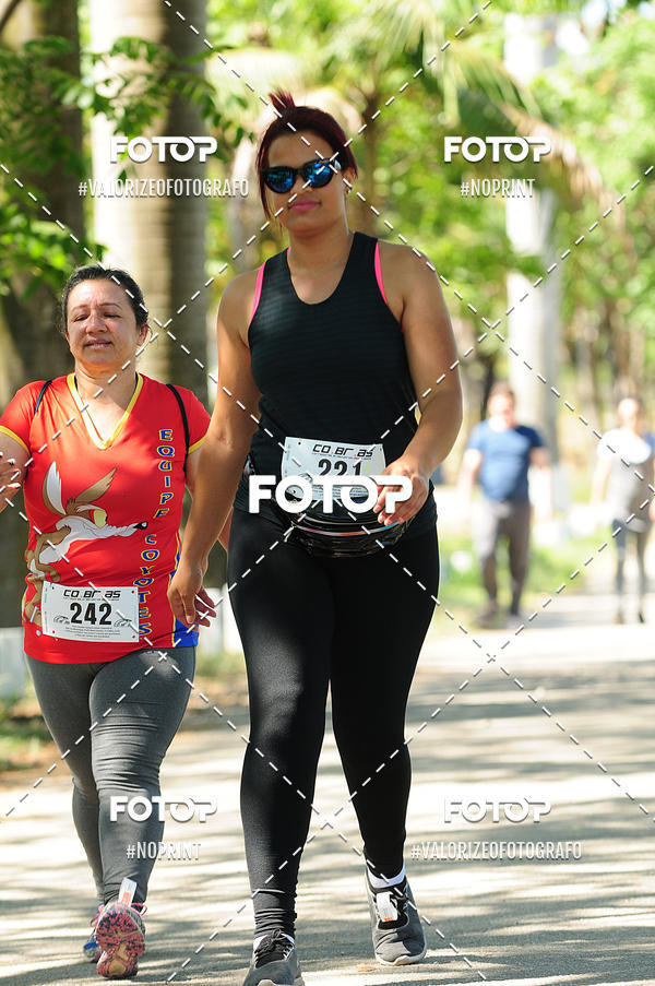 Achetez vos photos de l'vnementPIT BULL RUNNING sur Fotop