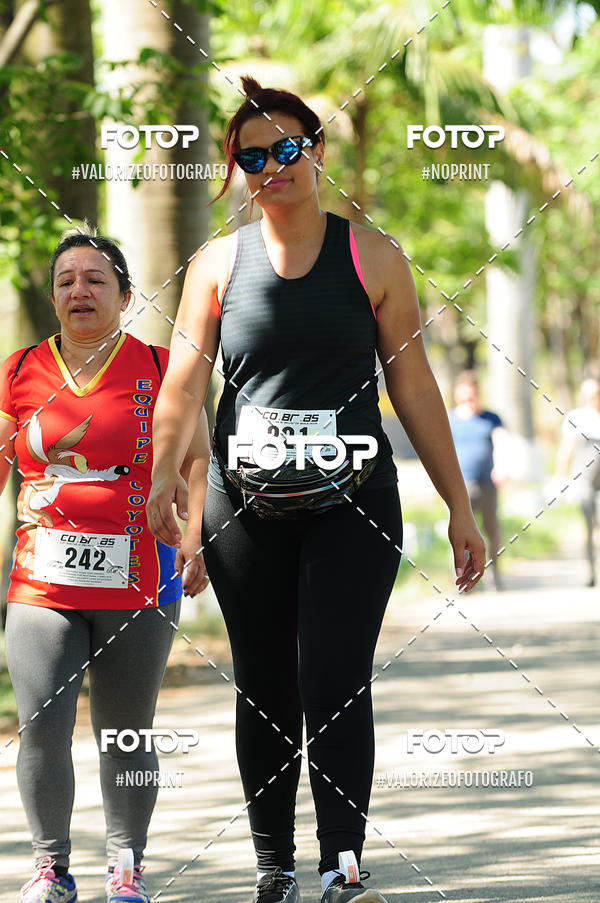 Achetez vos photos de l'vnementPIT BULL RUNNING sur Fotop