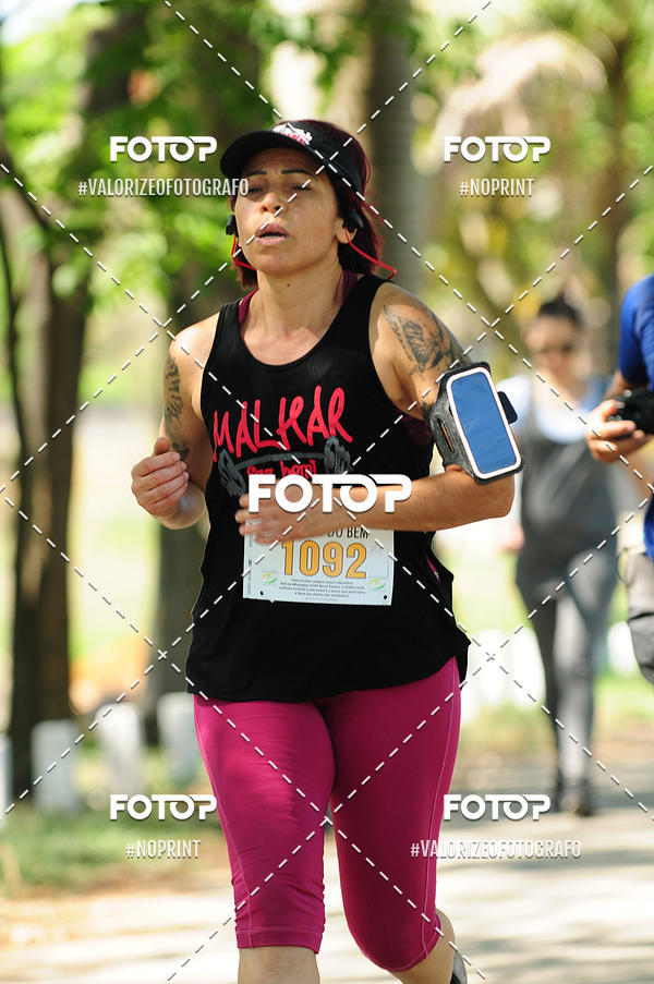 Achetez vos photos de l'vnementPIT BULL RUNNING sur Fotop