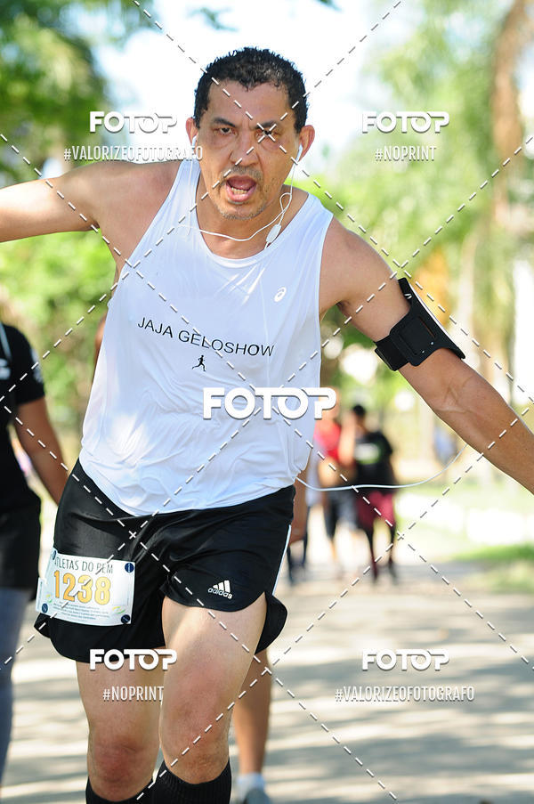 Achetez vos photos de l'vnementPIT BULL RUNNING sur Fotop