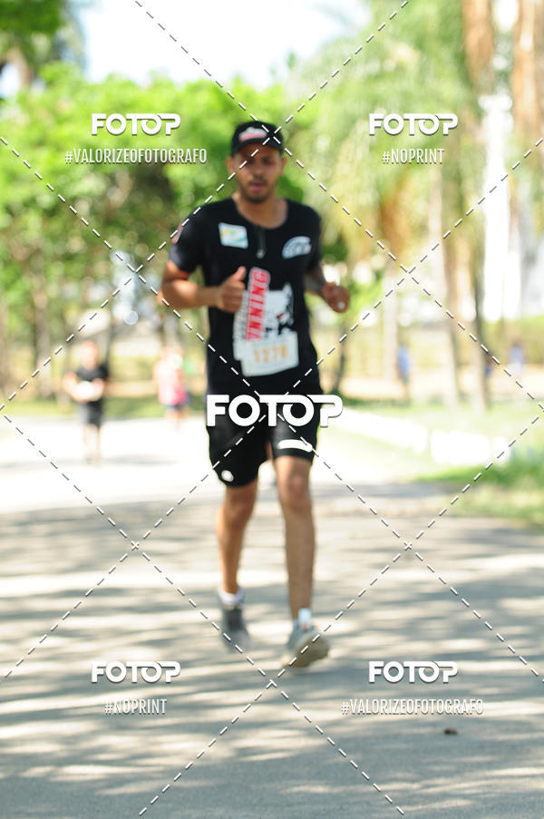 Achetez vos photos de l'vnementPIT BULL RUNNING sur Fotop