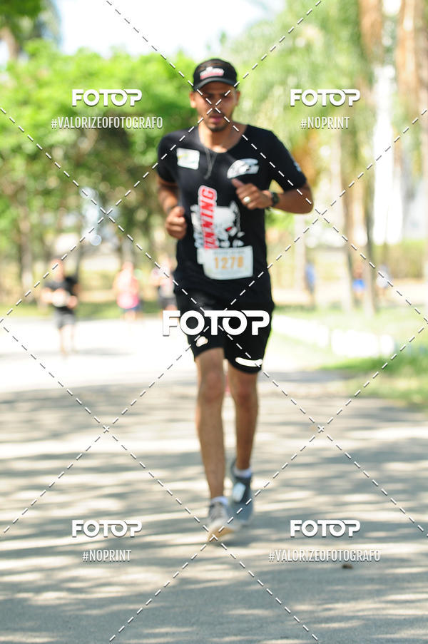 Achetez vos photos de l'vnementPIT BULL RUNNING sur Fotop