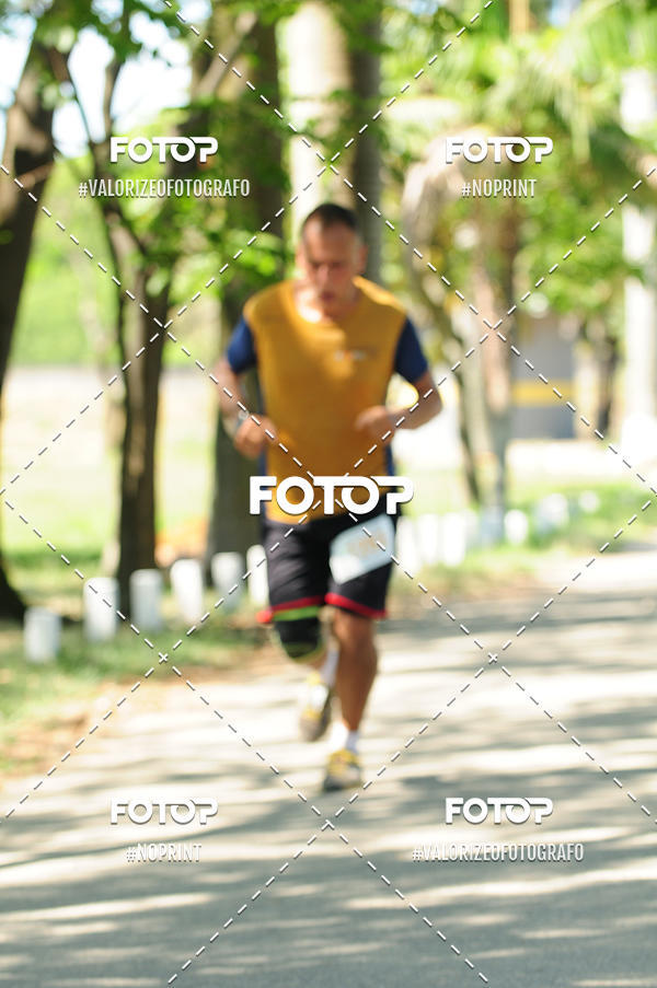 Achetez vos photos de l'vnementPIT BULL RUNNING sur Fotop