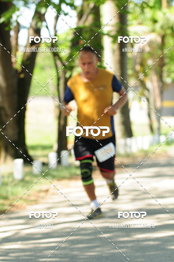 Buy your photos of the eventPIT BULL RUNNING on Fotop