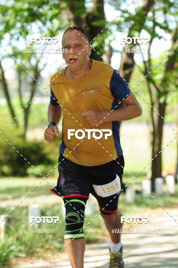 Buy your photos of the eventPIT BULL RUNNING on Fotop