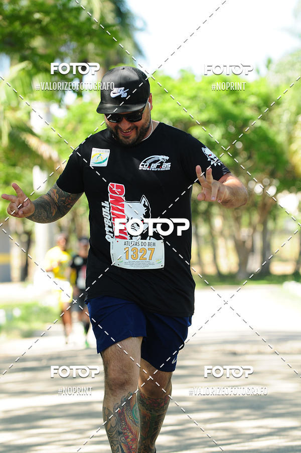 Buy your photos of the eventPIT BULL RUNNING on Fotop