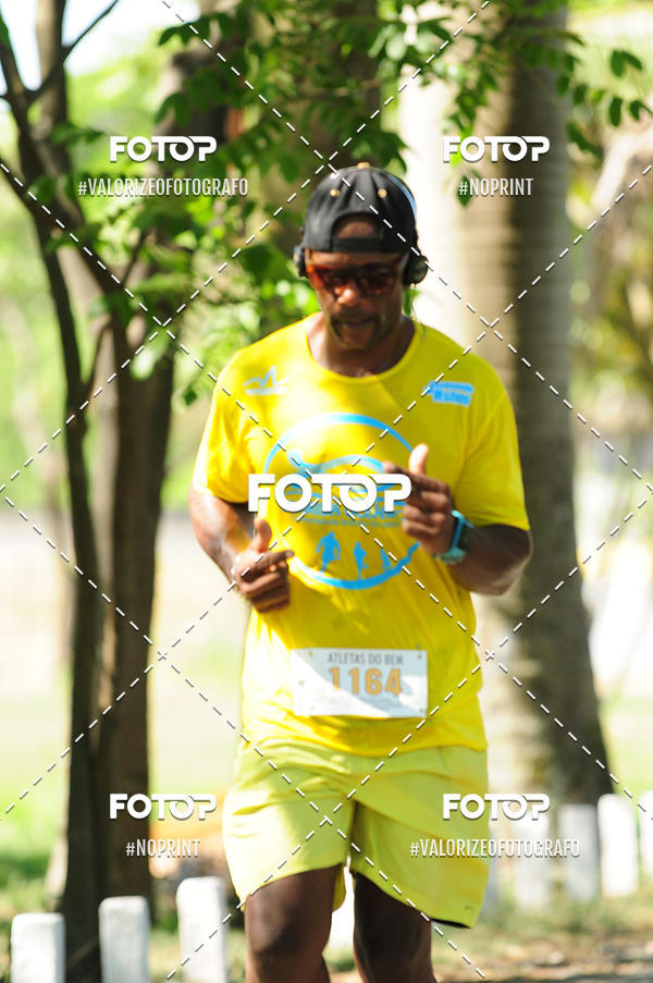 Buy your photos of the eventPIT BULL RUNNING on Fotop