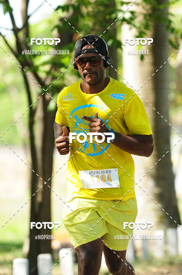 Buy your photos of the eventPIT BULL RUNNING on Fotop