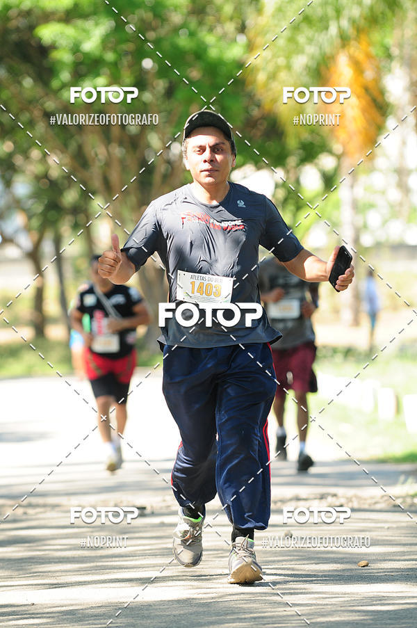 Buy your photos of the eventPIT BULL RUNNING on Fotop