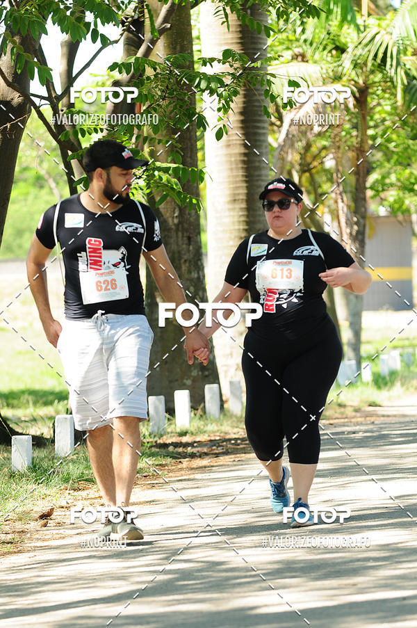 Buy your photos of the eventPIT BULL RUNNING on Fotop