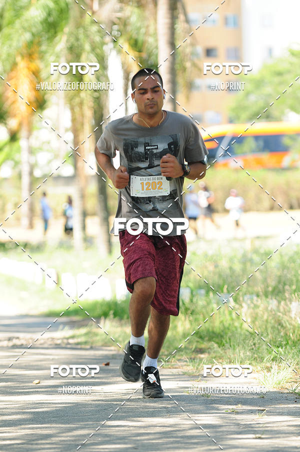 Buy your photos of the eventPIT BULL RUNNING on Fotop