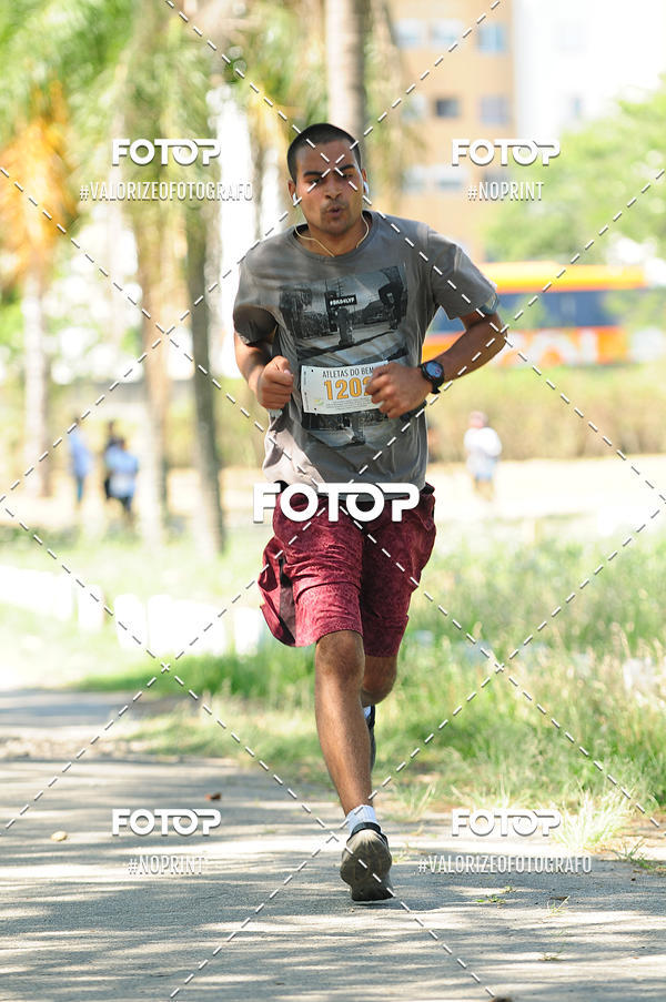 Buy your photos of the eventPIT BULL RUNNING on Fotop