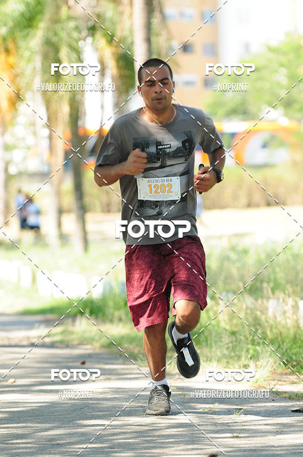 Buy your photos of the eventPIT BULL RUNNING on Fotop