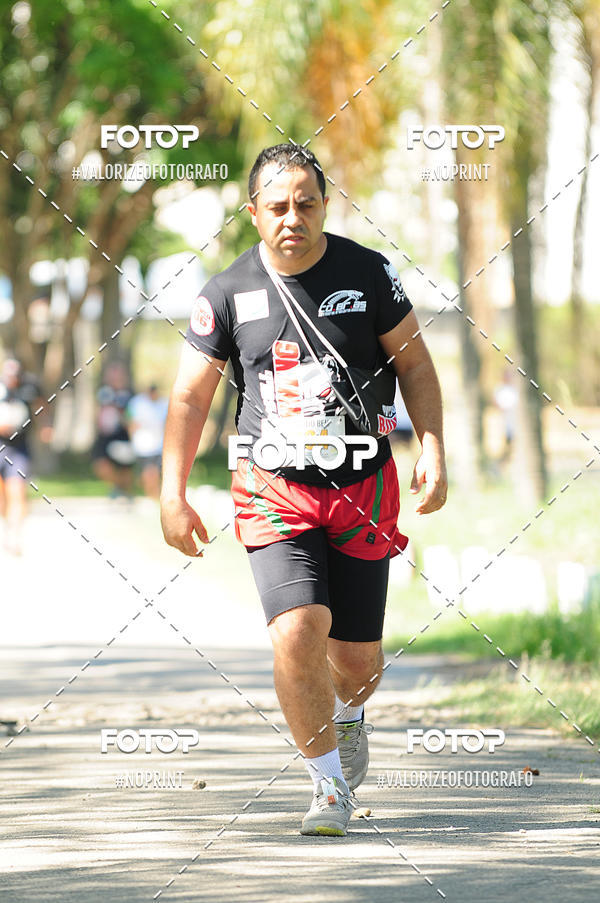 Buy your photos of the eventPIT BULL RUNNING on Fotop