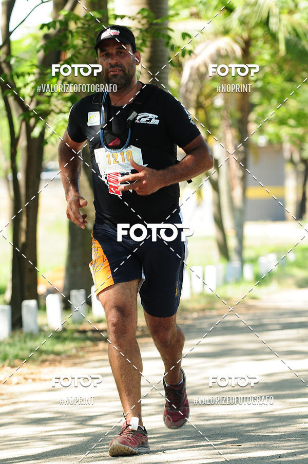 Buy your photos of the eventPIT BULL RUNNING on Fotop