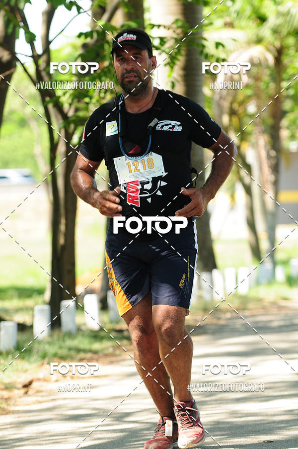 Buy your photos of the eventPIT BULL RUNNING on Fotop