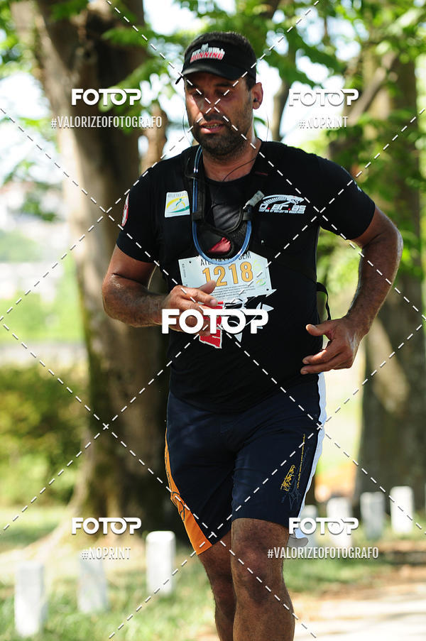 Buy your photos of the eventPIT BULL RUNNING on Fotop