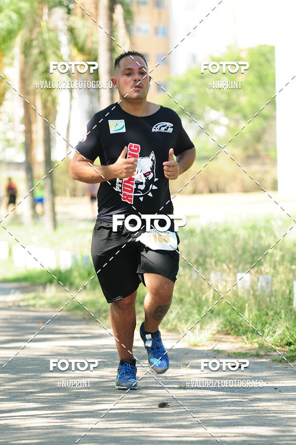 Buy your photos of the eventPIT BULL RUNNING on Fotop