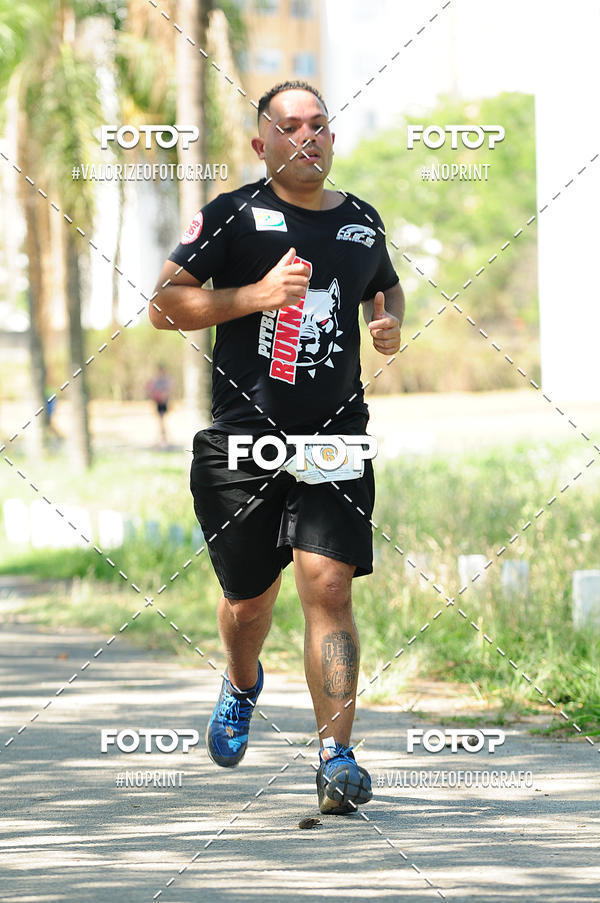 Buy your photos of the eventPIT BULL RUNNING on Fotop