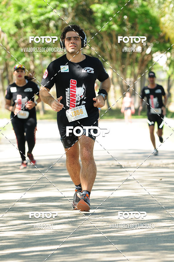 Buy your photos of the eventPIT BULL RUNNING on Fotop