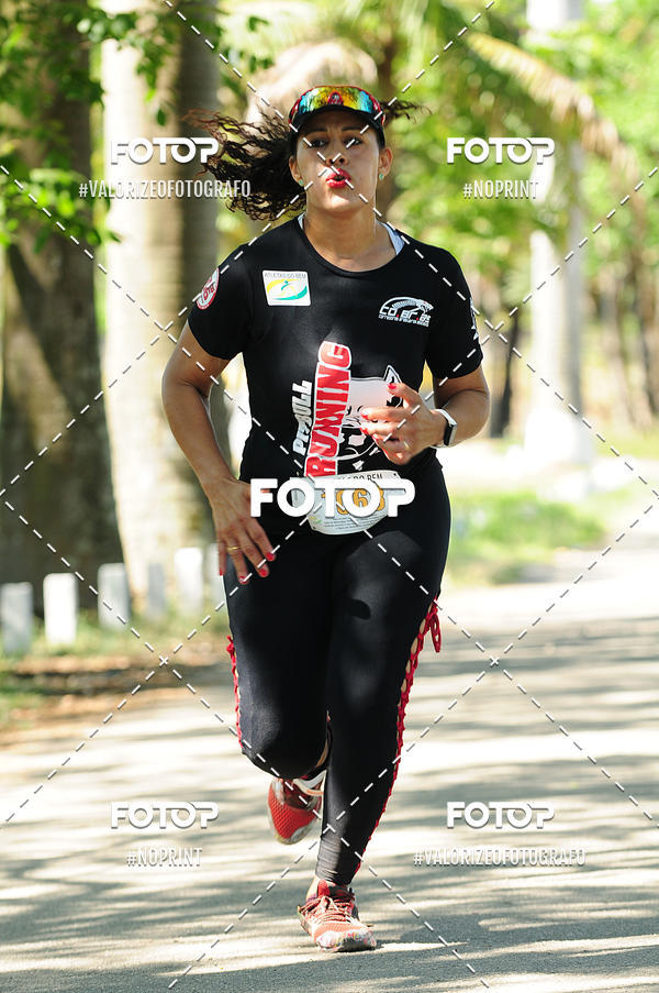 Buy your photos of the eventPIT BULL RUNNING on Fotop