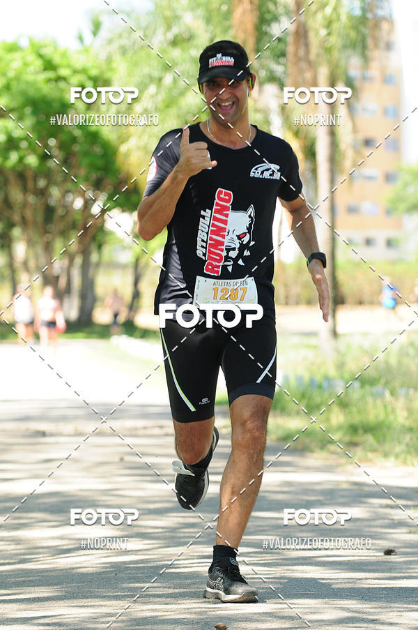 Buy your photos of the eventPIT BULL RUNNING on Fotop