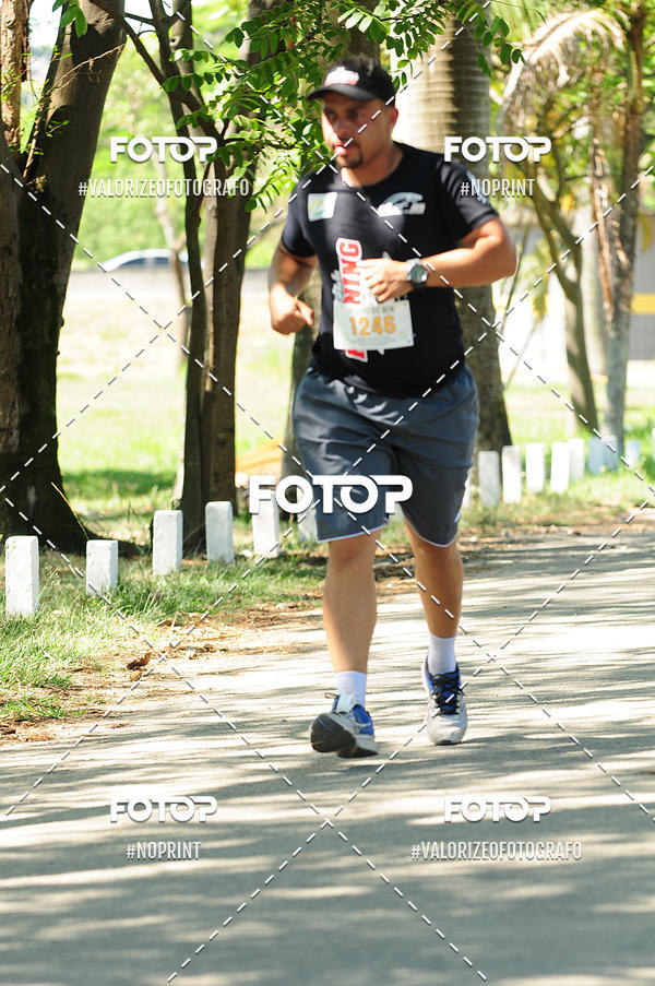 Buy your photos of the eventPIT BULL RUNNING on Fotop