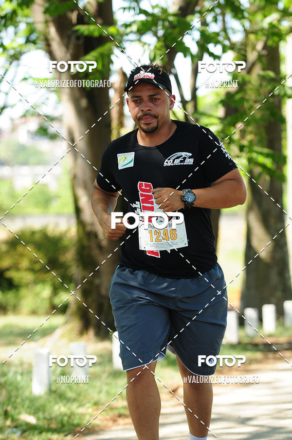 Buy your photos of the eventPIT BULL RUNNING on Fotop