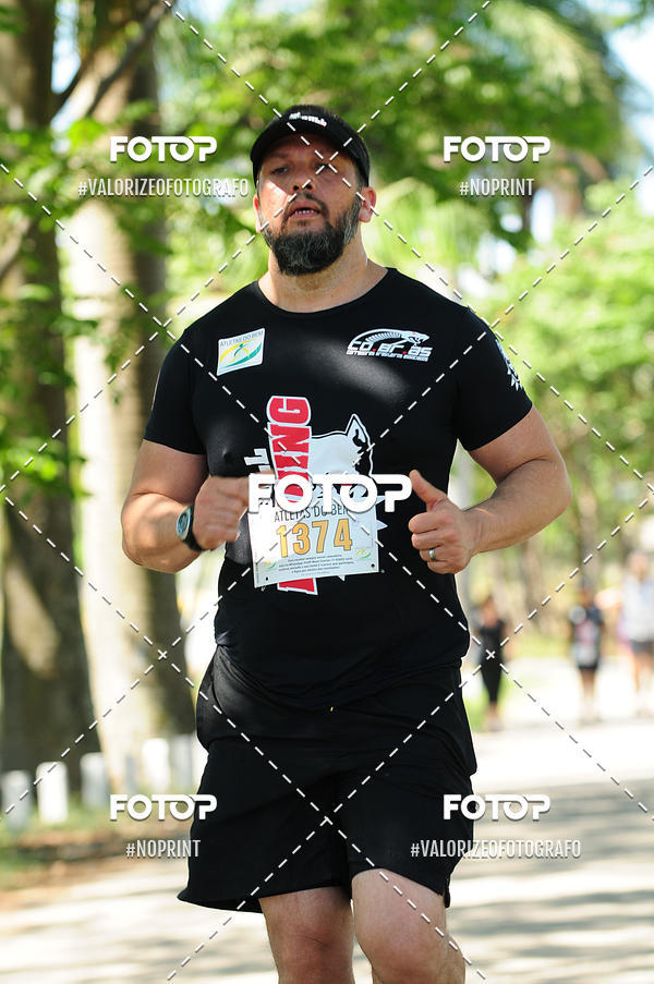 Buy your photos of the eventPIT BULL RUNNING on Fotop