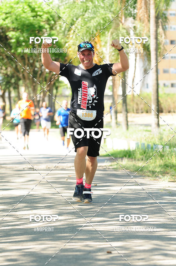 Buy your photos of the eventPIT BULL RUNNING on Fotop