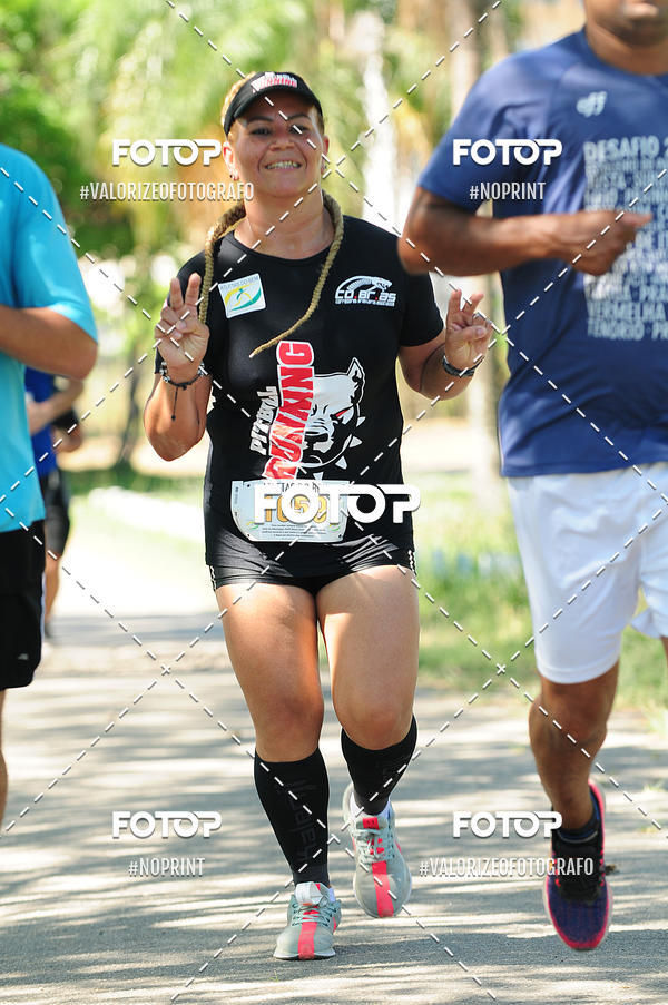 Buy your photos of the eventPIT BULL RUNNING on Fotop