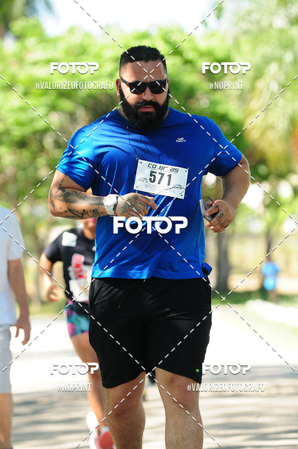 Buy your photos of the eventPIT BULL RUNNING on Fotop