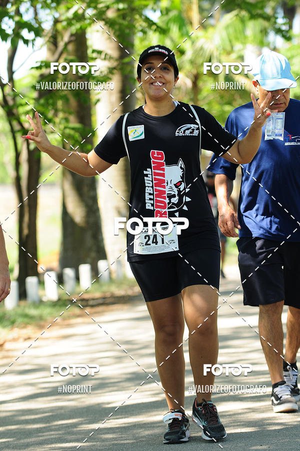 Buy your photos of the eventPIT BULL RUNNING on Fotop