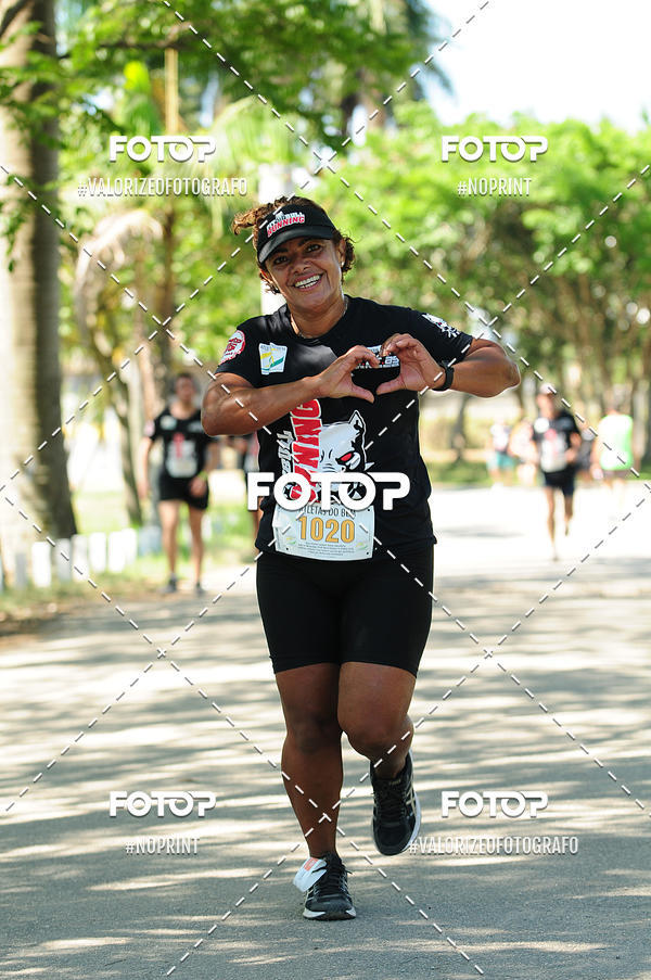 Buy your photos of the eventPIT BULL RUNNING on Fotop