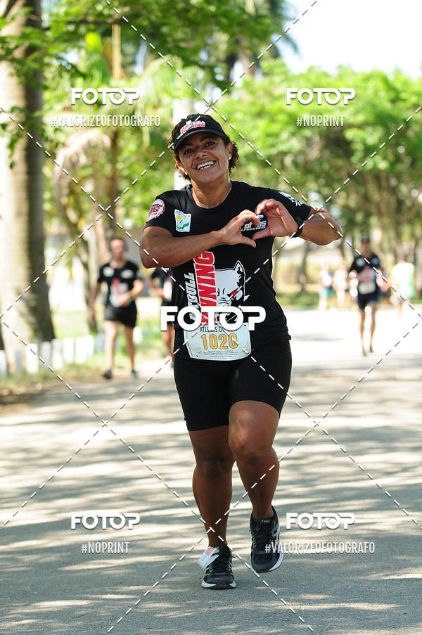 Buy your photos of the eventPIT BULL RUNNING on Fotop