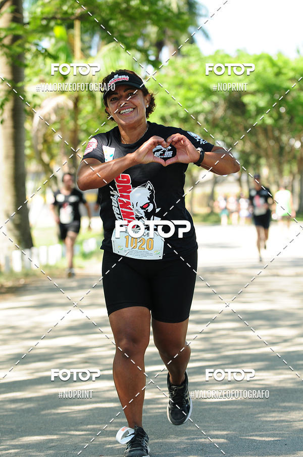 Buy your photos of the eventPIT BULL RUNNING on Fotop