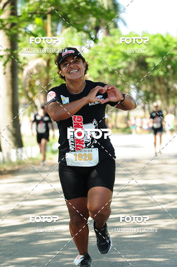 Buy your photos of the eventPIT BULL RUNNING on Fotop